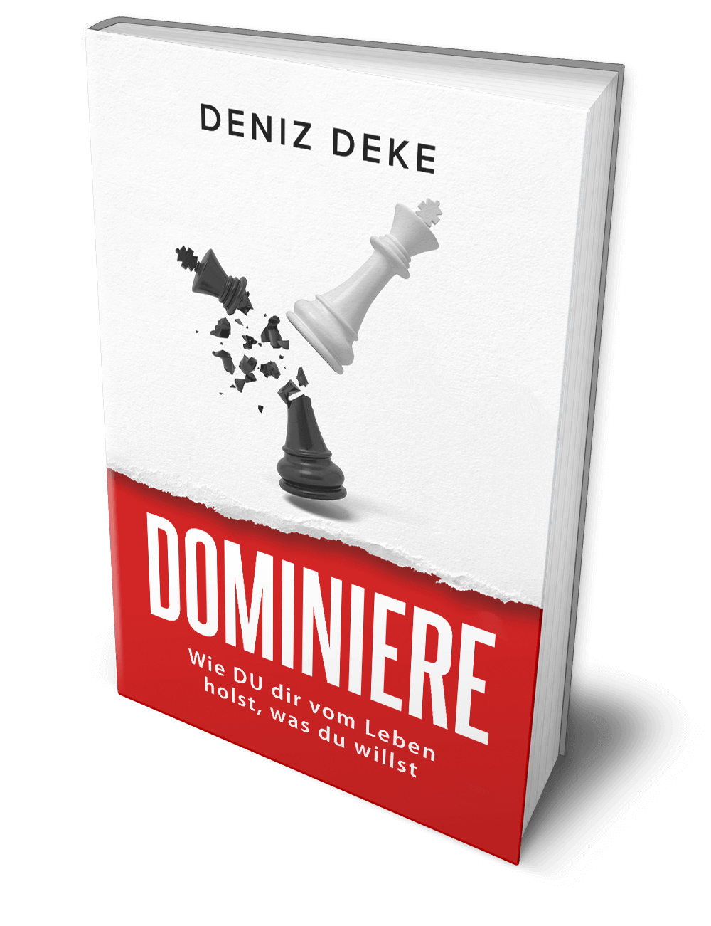 Dominiere dein Leben von Deniz Deke – Buchcover zum Gratisbuch über Disziplin, Fokus, Persönlichkeitsentwicklung und Selbstvertrauen